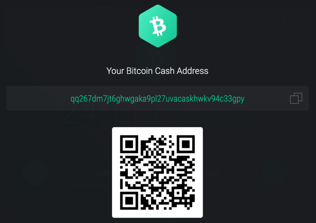 Bitcoin-Cash-Address_Follow-My-Vote